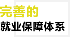 完善的就业帮扶 体系